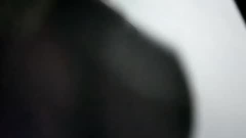 danielzg97 online show from 01/30/25, 11:44