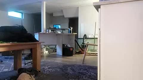 danimal5000 online show from 11/17/25, 03:07