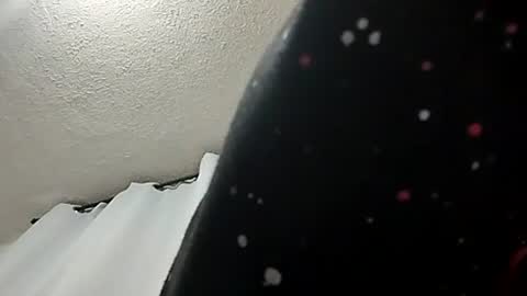 daniel segura online show from 07/28/26, 02:40