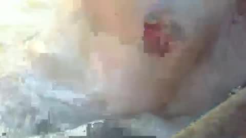 Snapshot of dankz4two0 chatting on 01/11/25, 03:09 dankz4two0 online show from 01/11/25, 03:09