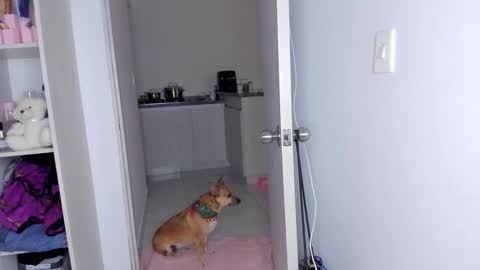 Snapshot of danna_rhodesx chatting on 11/30/25, 06:17 Danna Rhodes online show from 11/30/25, 06:17