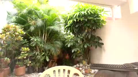 Dannamunoz130 online show from 10/12/25, 12:48