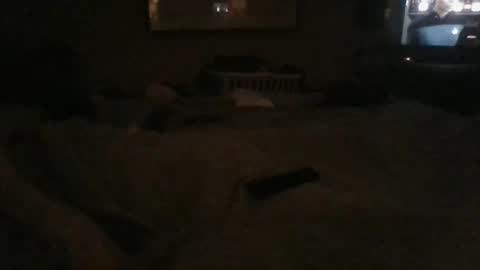 Danielle online show from 12/24/24, 02:43