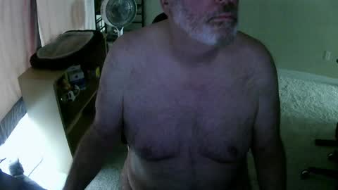 Danny bear online show from 05/03/26, 07:31