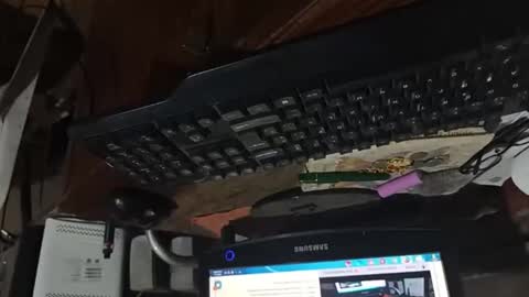 Snapshot of dario48 chatting on 11/03/25, 06:47 dario48 online show from 11/03/25, 06:47