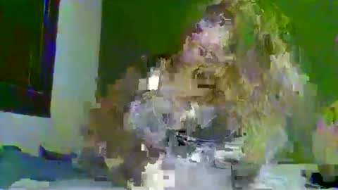 Snapshot of darius171987 chatting on 03/26/26, 02:22 darius171987 online show from 03/26/26, 02:22