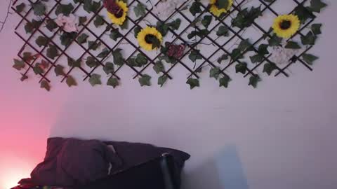 dark_flama online show from 07/24/26, 01:47