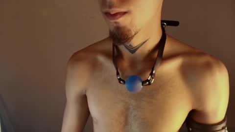 Snapshot of dark_rosse1 chatting on 02/08/26, 11:08 rosse online show from 02/08/26, 11:08