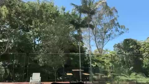 dartanian0001 online show from 09/30/25, 02:05