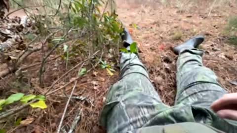 datboinate online show from 11/02/25, 09:28