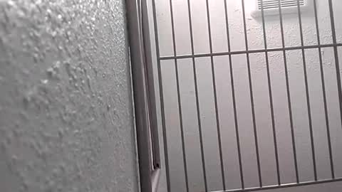 david_stone1969 online show from 01/25/25, 08:10