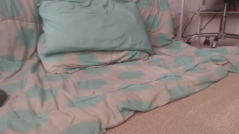 dav online show from 12/02/24, 09:28