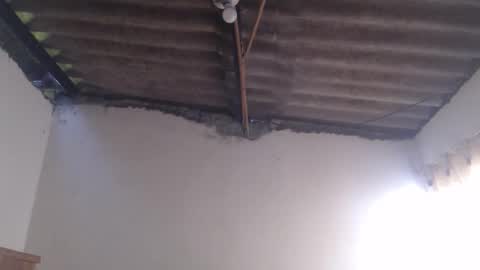 Dylon online show from 10/25/25, 12:23