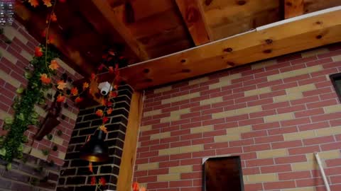 DAYRA ANGELS online show from 12/01/24, 11:58