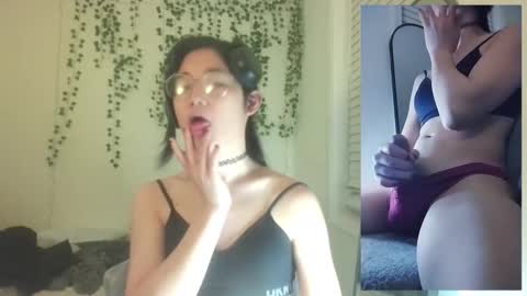 deciduousdoll online show from 11/29/25, 06:49