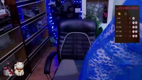 Delicacat online show from 06/26/26, 10:08
