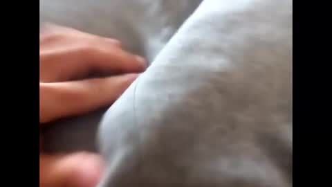 deliv_shopi online show from 11/17/25, 01:50