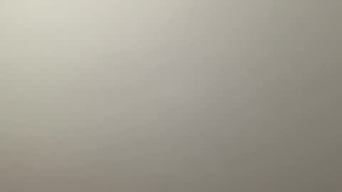 Snapshot of deliverysmile chatting on 12/19/24, 12:34 Delivery online show from 12/19/24, 12:34