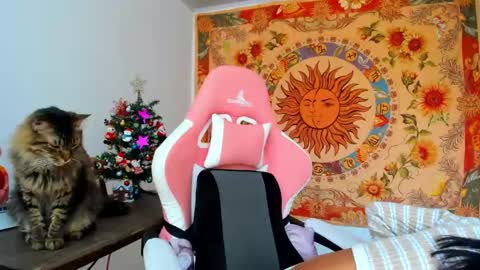 demeter__ online show from 12/11/24, 04:53