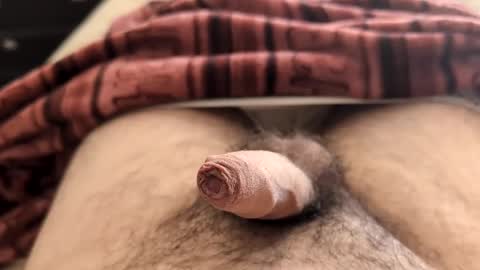 Snapshot of denis647 chatting on 02/05/25, 02:26 LilRoach online show from 02/05/25, 02:26