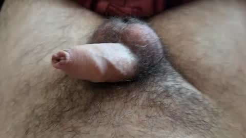 Snapshot of denis647 chatting on 09/15/25, 12:05 LilRoach online show from 09/15/25, 12:05