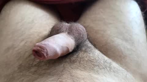 Snapshot of denis647 chatting on 12/01/25, 03:17 LilRoach online show from 12/01/25, 03:17