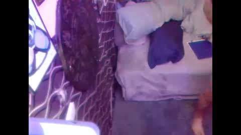 denveversbb online show from 10/05/25, 11:30