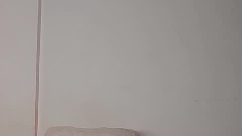 Snapshot of denzo_cornell chatting on 10/27/25, 04:05 denzo online show from 10/27/25, 04:05