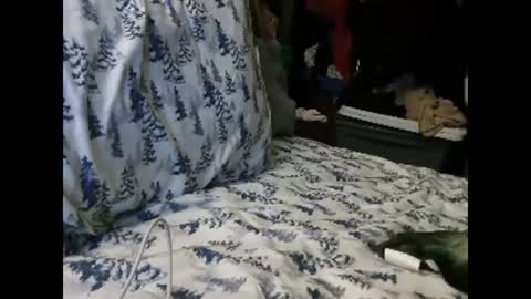 deroseblack online show from 01/13/25, 04:50