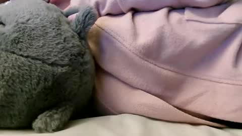 deroseblack online show from 02/10/25, 06:20