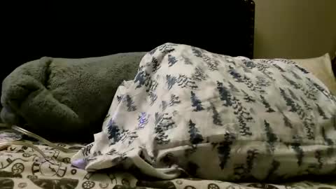 deroseblack online show from 02/24/25, 05:22