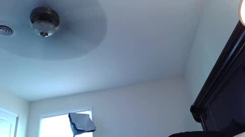 DutchMasterFox online show from 10/01/25, 07:09