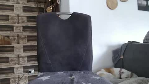 Snapshot of despotar123 chatting on 10/07/25, 11:18 despotar123 online show from 10/07/25, 11:18