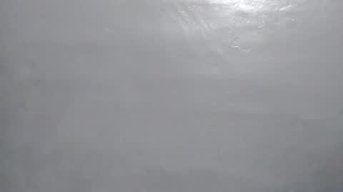 desturbingdetale699 online show from 01/10/25, 05:26