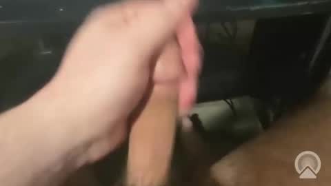 Snapshot of devin255395 chatting on 12/03/25, 07:45 devin255395 online show from 12/03/25, 07:45