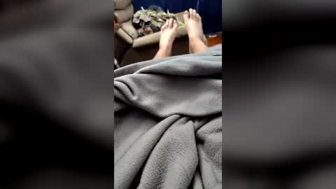 dhorne8833 online show from 07/19/26, 06:44