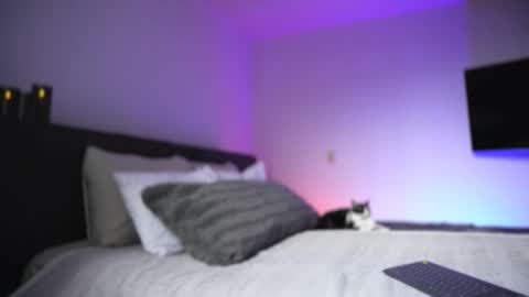 Diego online show from 11/26/25, 08:54