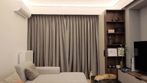 Snapshot of diamondpixie chatting on 12/13/25, 09:09 Iris online show from 12/13/25, 09:09