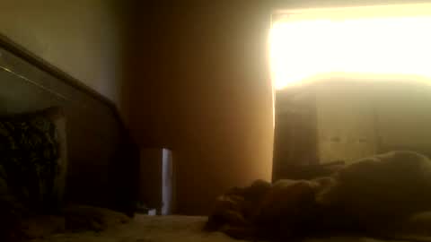 Snapshot of dickdaxxx chatting on 03/02/25, 08:16 dickdaxxx online show from 03/02/25, 08:16