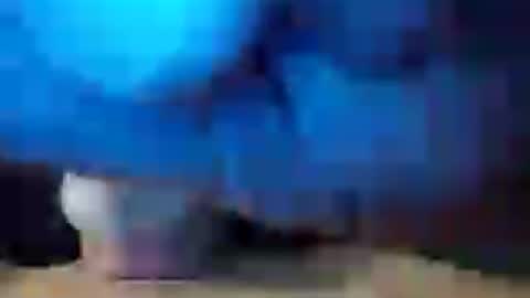 dicknobber online show from 07/23/26, 10:57