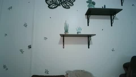 dickslayerdan online show from 01/25/25, 08:21