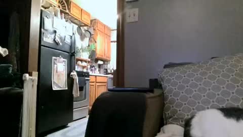 Snapshot of dickwack4u chatting on 01/04/25, 04:01 dickwack4u online show from 01/04/25, 04:01