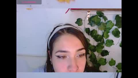 Dicmonlu online show from 12/16/25, 03:33