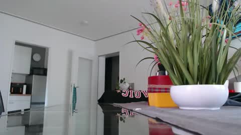 Snapshot of didiegal1 chatting on 05/17/26, 11:28 squirtcock online show from 05/17/26, 11:28