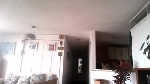 diego_incubo_ii online show from 07/15/26, 04:34