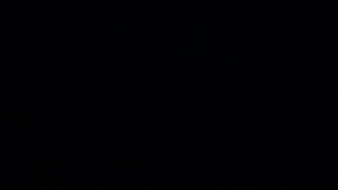 Snapshot of dilldough405 chatting on 12/12/24, 08:14 Dilldough405 online show from 12/12/24, 08:14