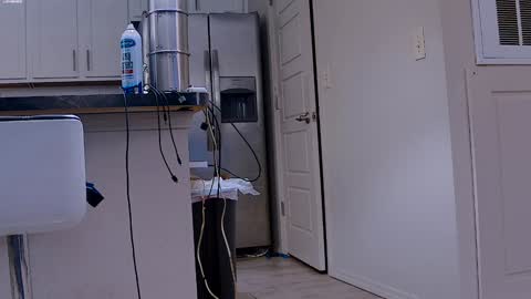 Snapshot of dilldough405 chatting on 01/29/25, 06:07 Dilldough405 online show from 01/29/25, 06:07