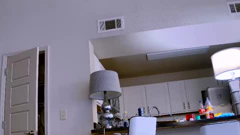 Snapshot of dilldough405 chatting on 02/11/25, 09:56 Dilldough405 online show from 02/11/25, 09:56