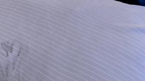 Snapshot of dilldough405 chatting on 02/24/25, 07:55 Dilldough405 online show from 02/24/25, 07:55