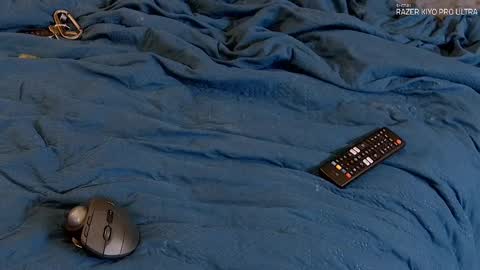 Snapshot of dilldough405 chatting on 09/09/25, 05:07 Dilldough405 online show from 09/09/25, 05:07